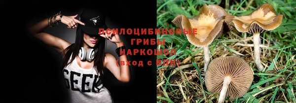 мяу мяу мука Беломорск